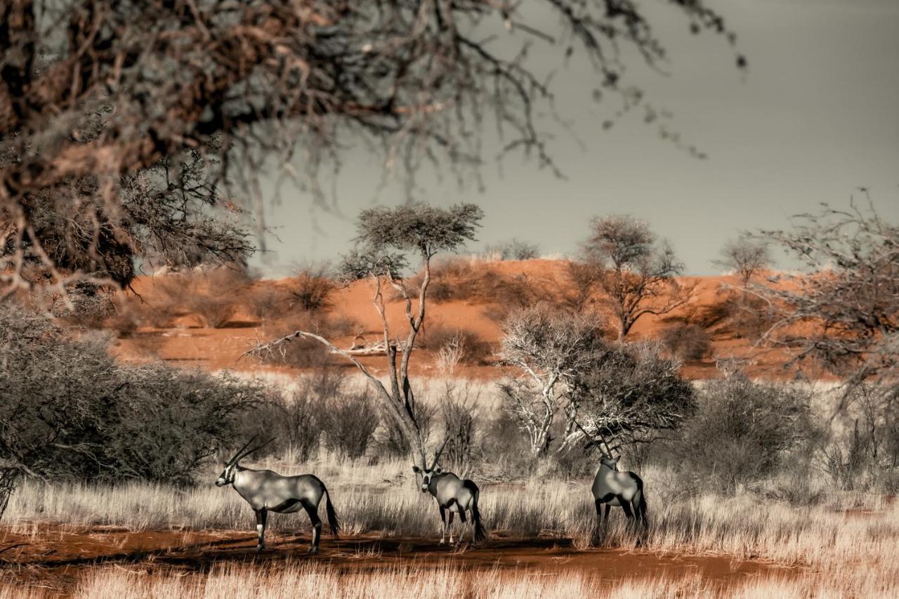 Bagatelle Kalahari Game Ranch Villa Hardap Exterior foto