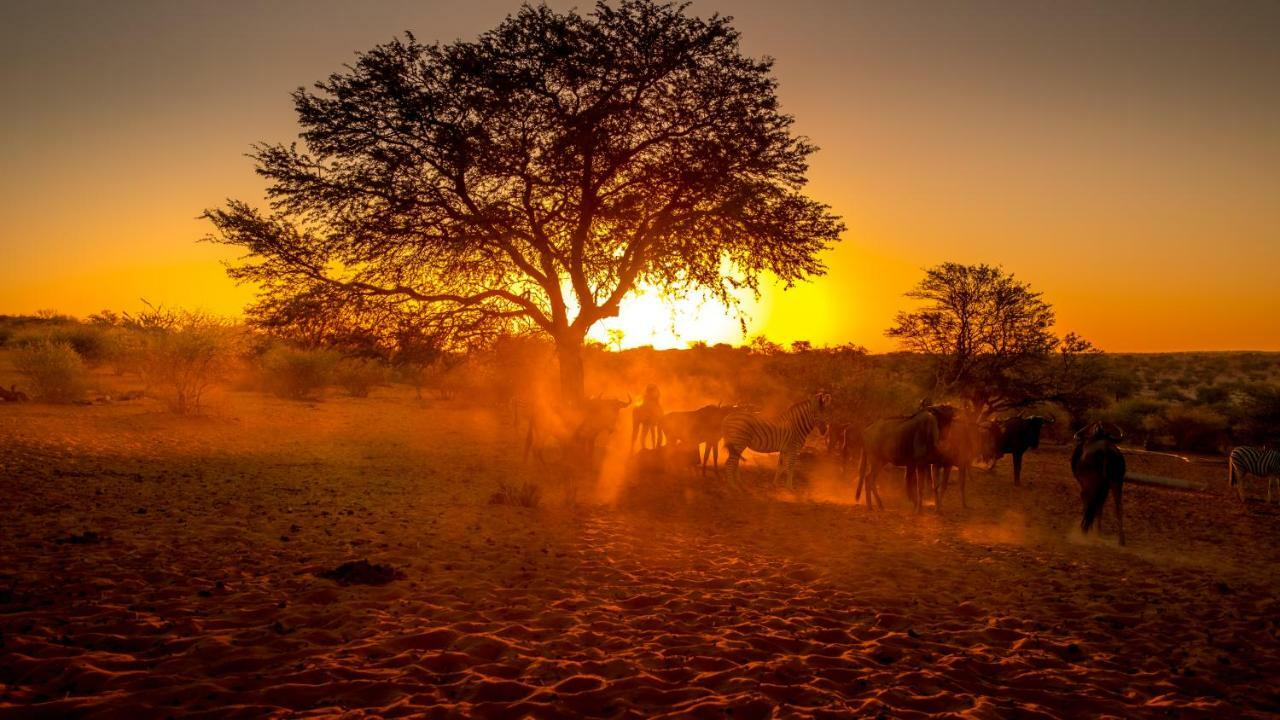 Bagatelle Kalahari Game Ranch Villa Hardap Exterior foto