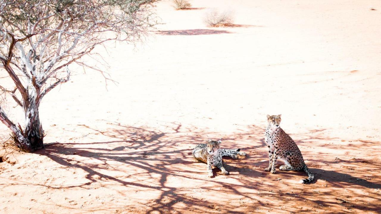 Bagatelle Kalahari Game Ranch Villa Hardap Exterior foto
